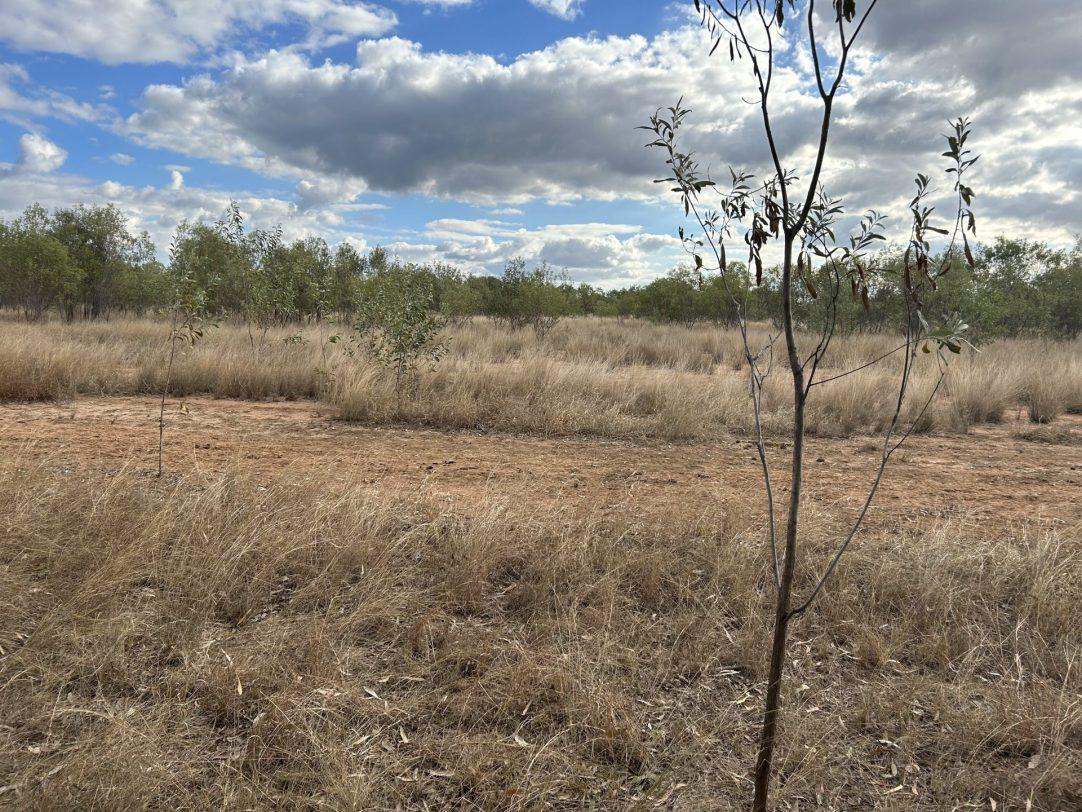 Albert Street, Duaringa For Sale by Farmbuy.com - image 18