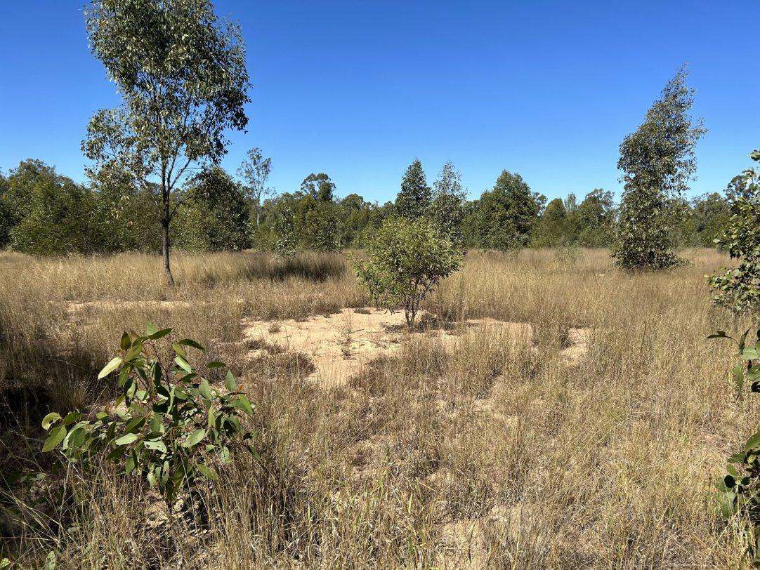 Albert Street, Duaringa For Sale by Farmbuy.com - image 14