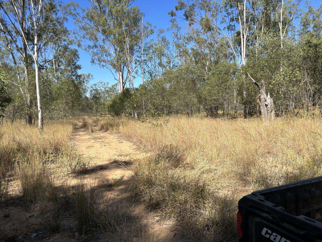Albert Street, Duaringa For Sale by Farmbuy.com - image 7