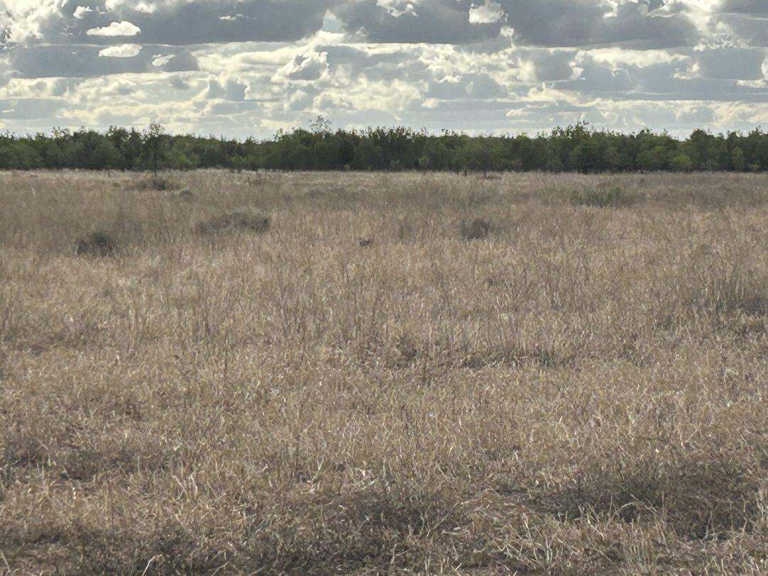 Albert Street, Duaringa For Sale by Farmbuy.com - image 19