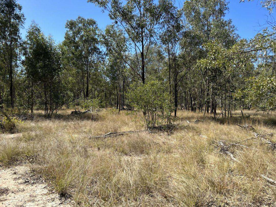 Albert Street, Duaringa For Sale by Farmbuy.com - image 15