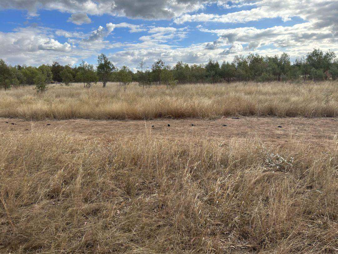 Albert Street, Duaringa For Sale by Farmbuy.com - image 13