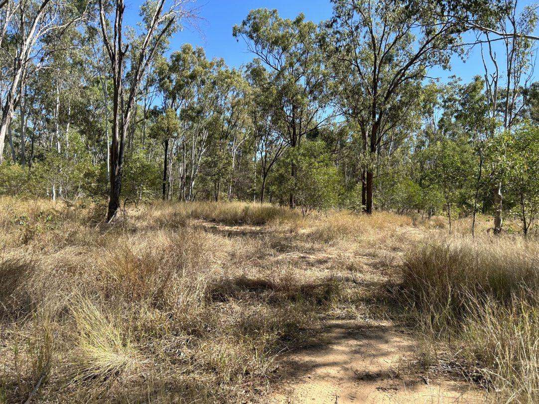 Albert Street, Duaringa For Sale by Farmbuy.com - image 6