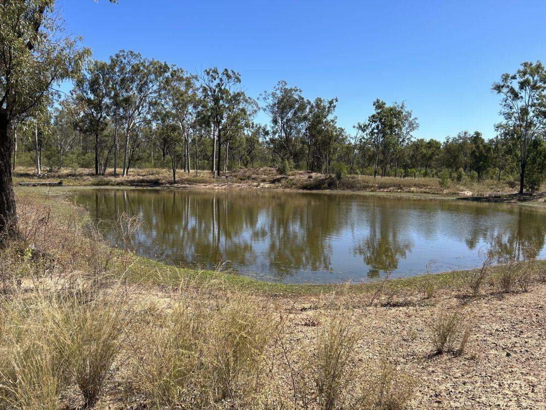 Albert Street, Duaringa For Sale by Farmbuy.com - image 9