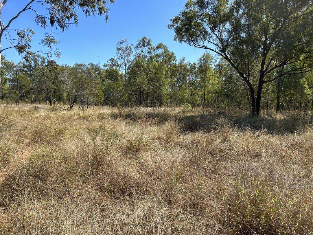 Albert Street, Duaringa For Sale by Farmbuy.com - image 4