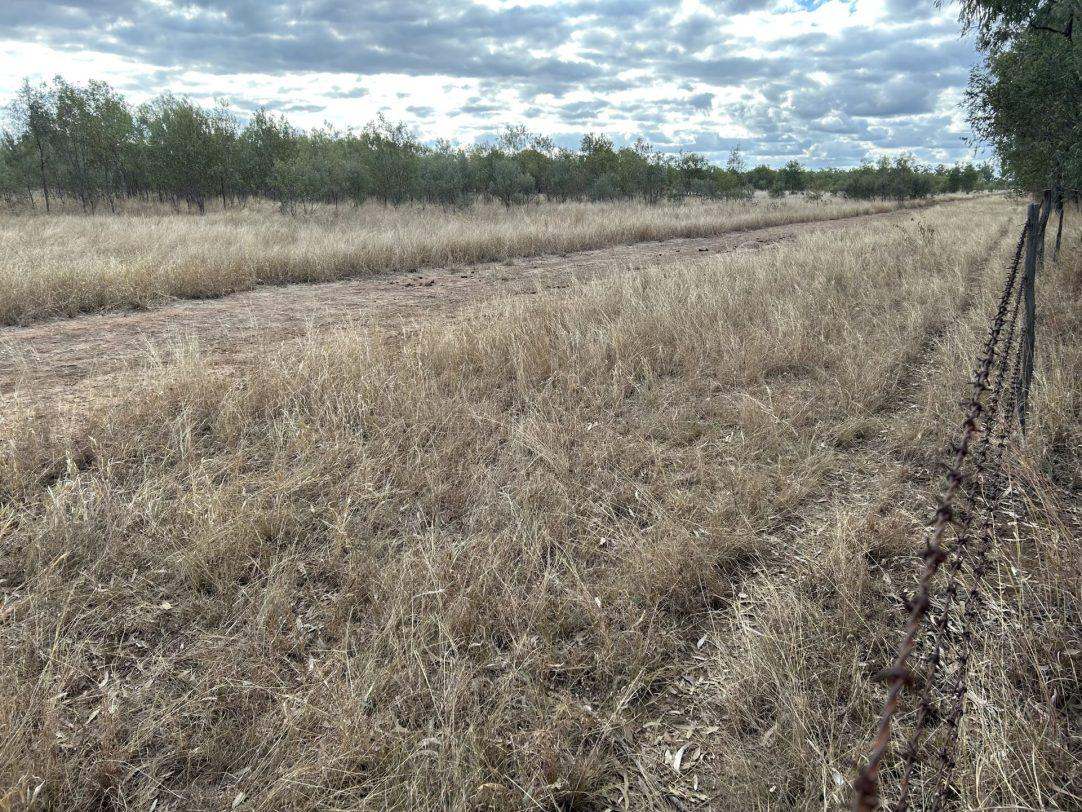 Albert Street, Duaringa For Sale by Farmbuy.com - image 16