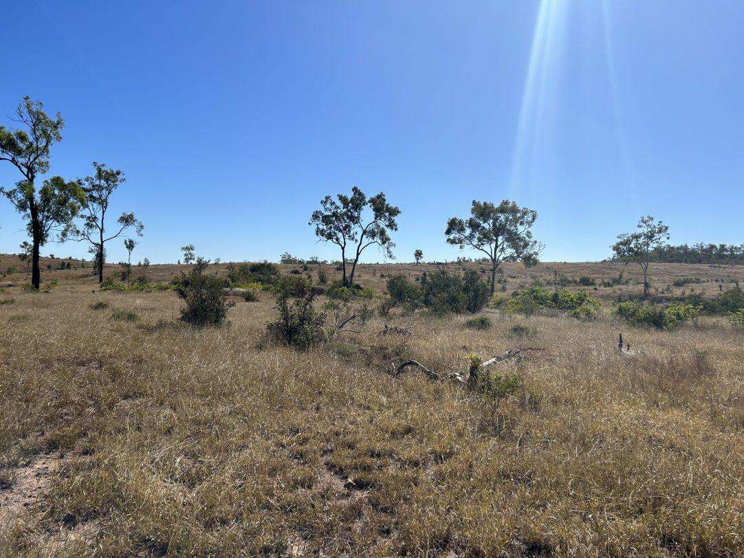 “Crystal Hills” , Duaringa For Sale by Farmbuy.com - image 16