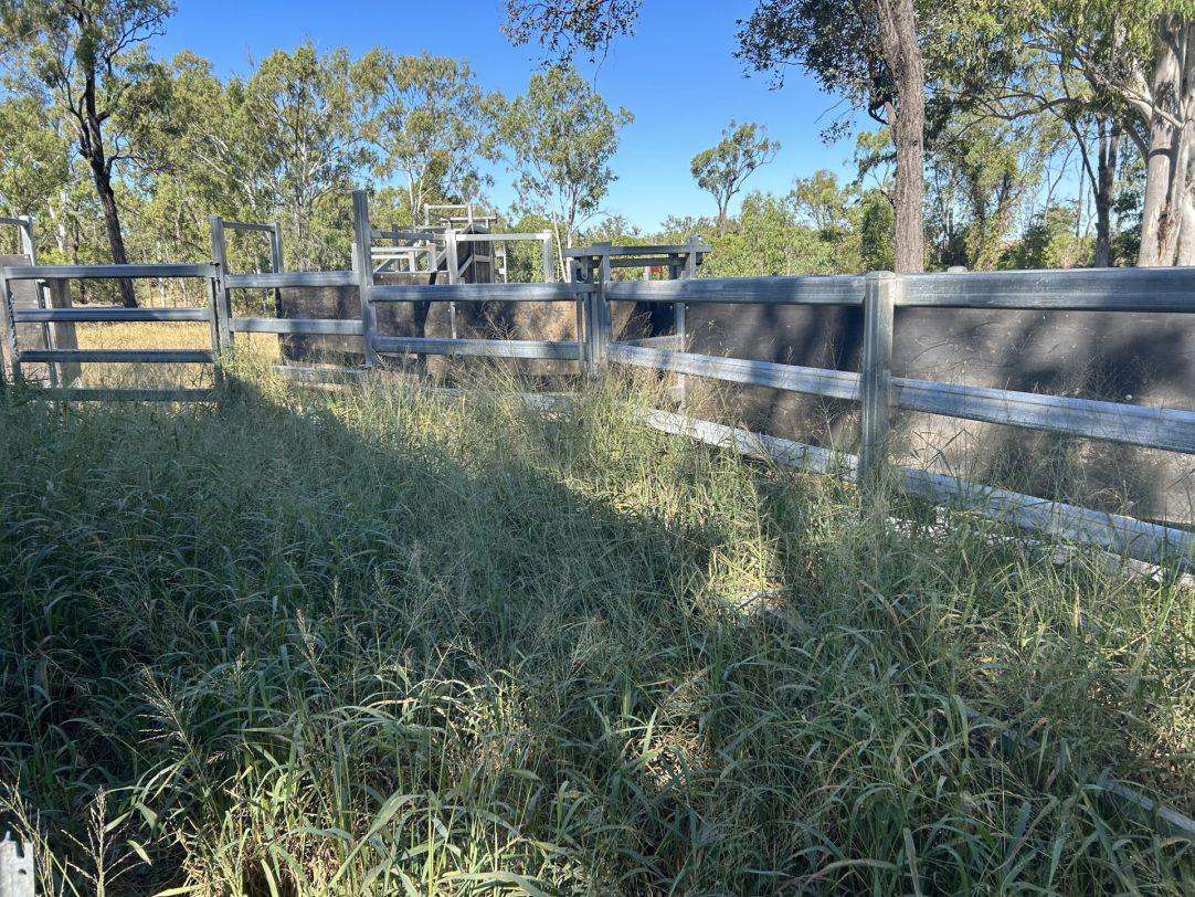 “Crystal Hills” , Duaringa For Sale by Farmbuy.com - image 21