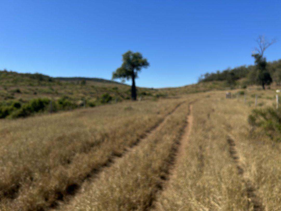 “Crystal Hills” , Duaringa For Sale by Farmbuy.com - image 4