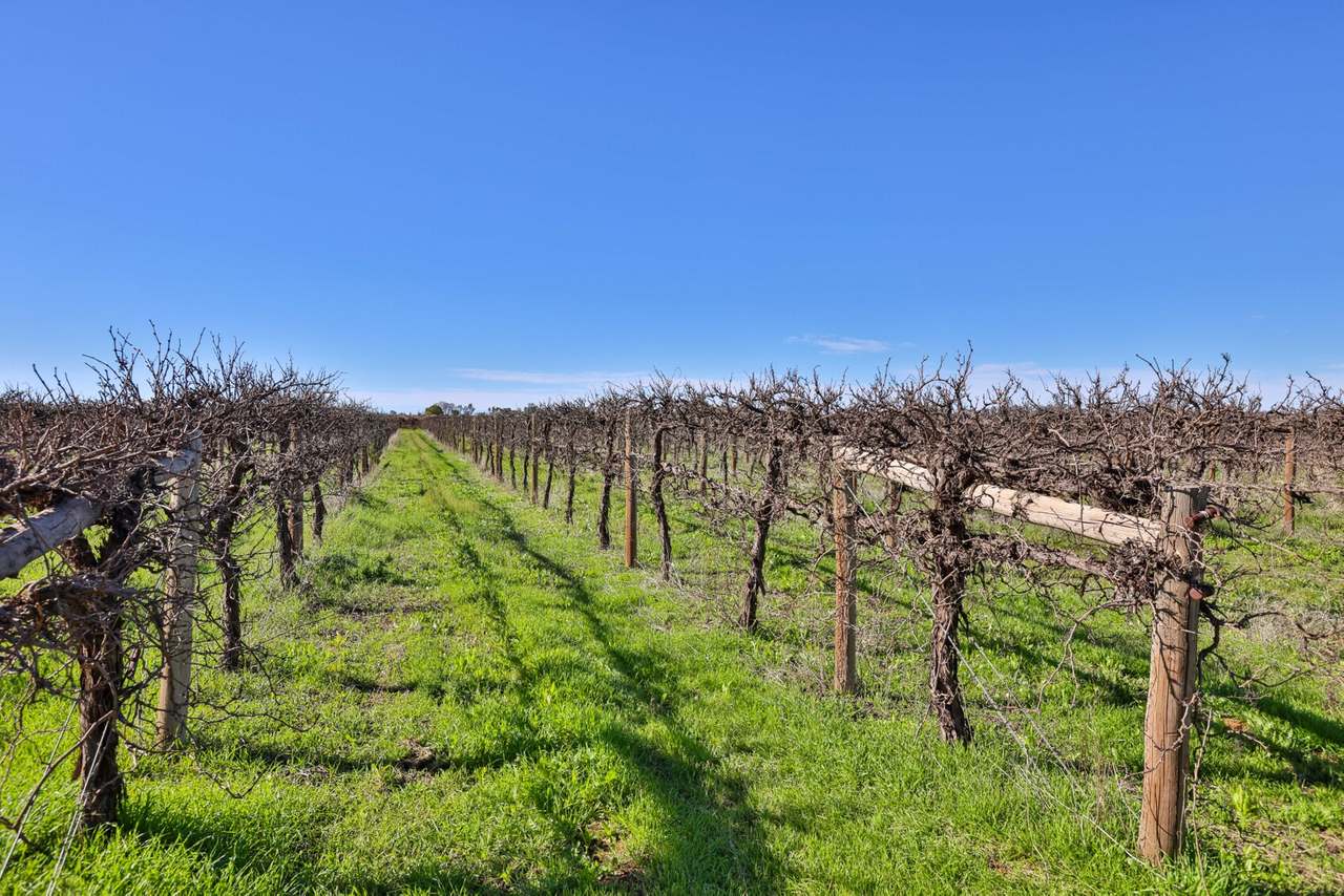 72 First Street , Yelta  For Sale by Farmbuy.com - image 6