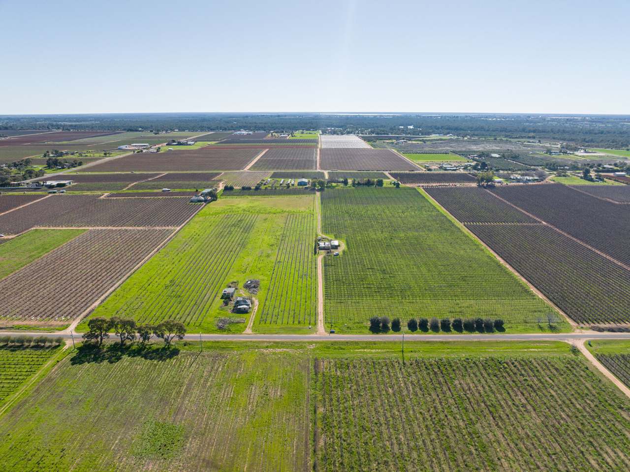 72 First Street , Yelta  For Sale by Farmbuy.com - image 20