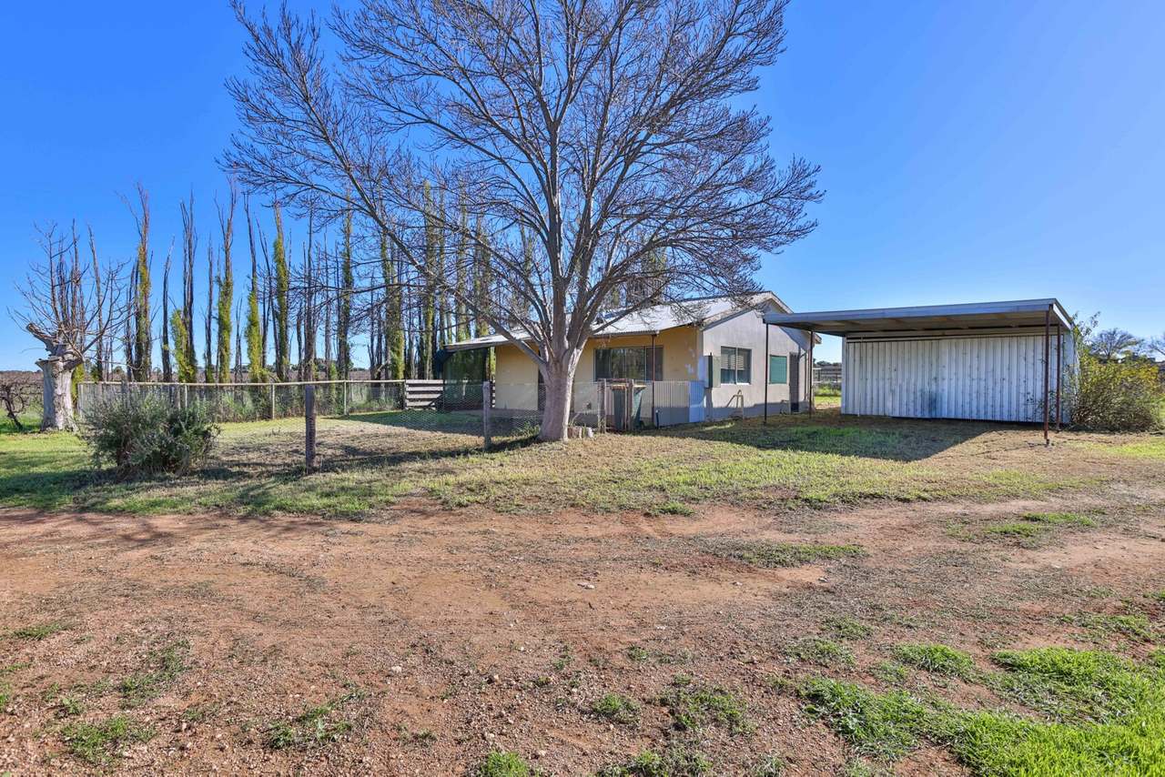 72 First Street , Yelta  For Sale by Farmbuy.com - image 10