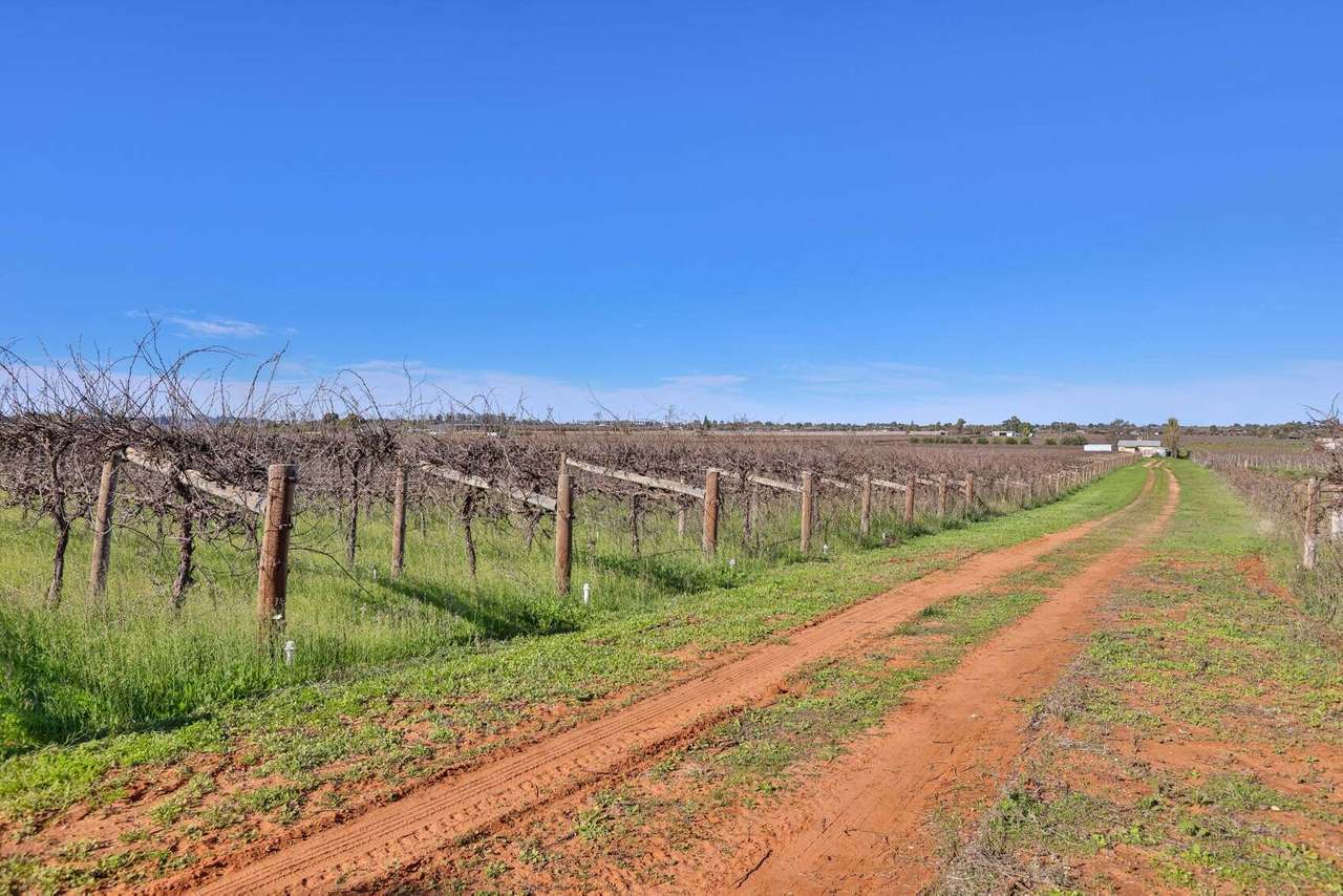 72 First Street , Yelta  For Sale by Farmbuy.com - image 4