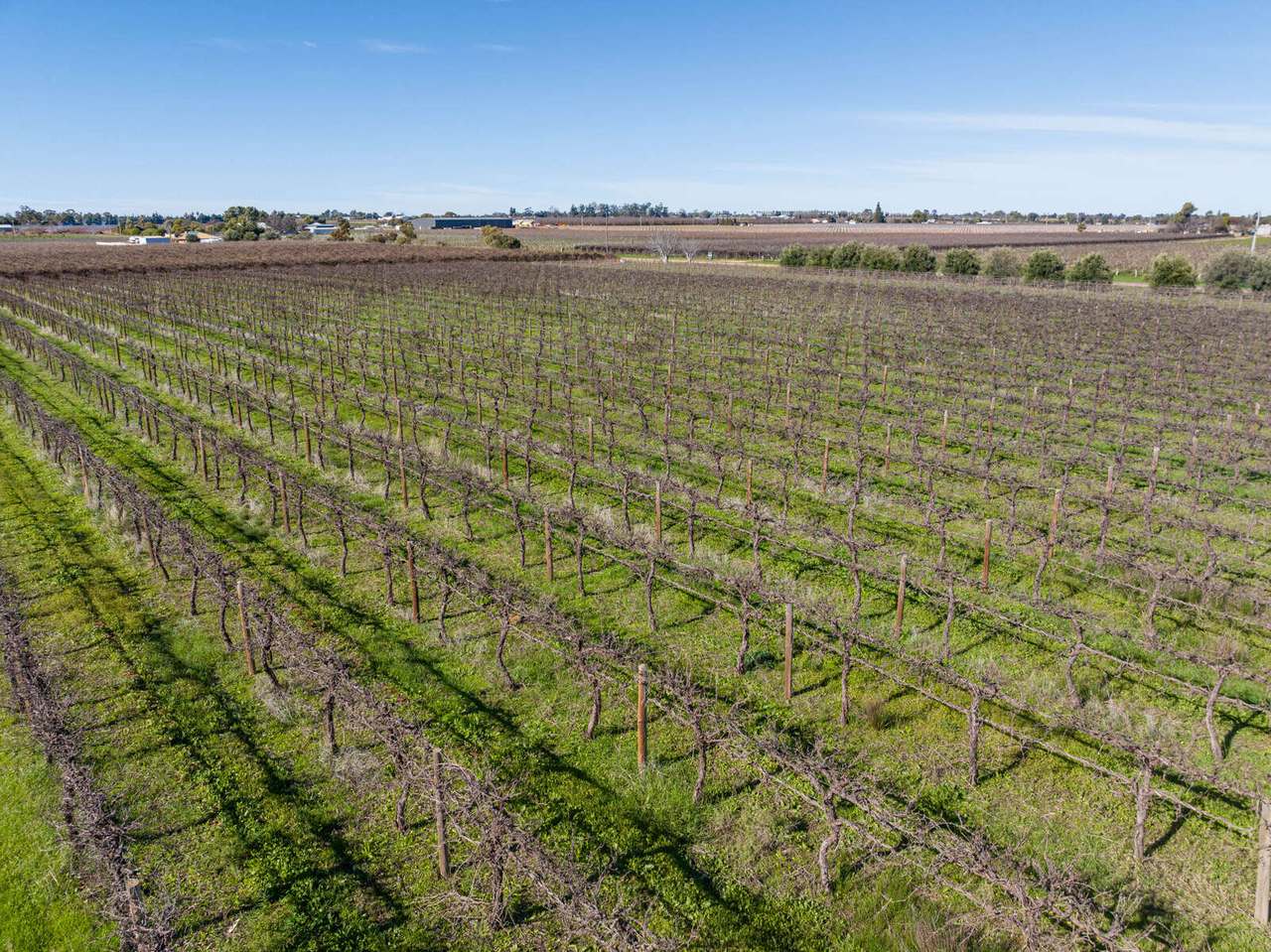 72 First Street , Yelta  For Sale by Farmbuy.com - image 8