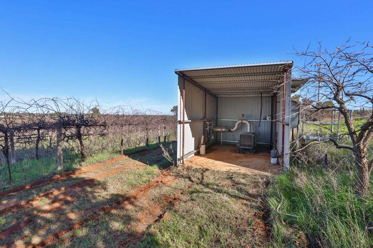 72 First Street , Yelta  For Sale by Farmbuy.com - image 5