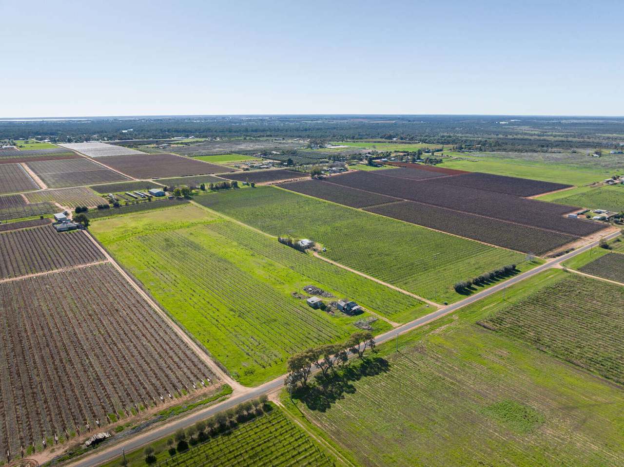72 First Street , Yelta  For Sale by Farmbuy.com - image 19
