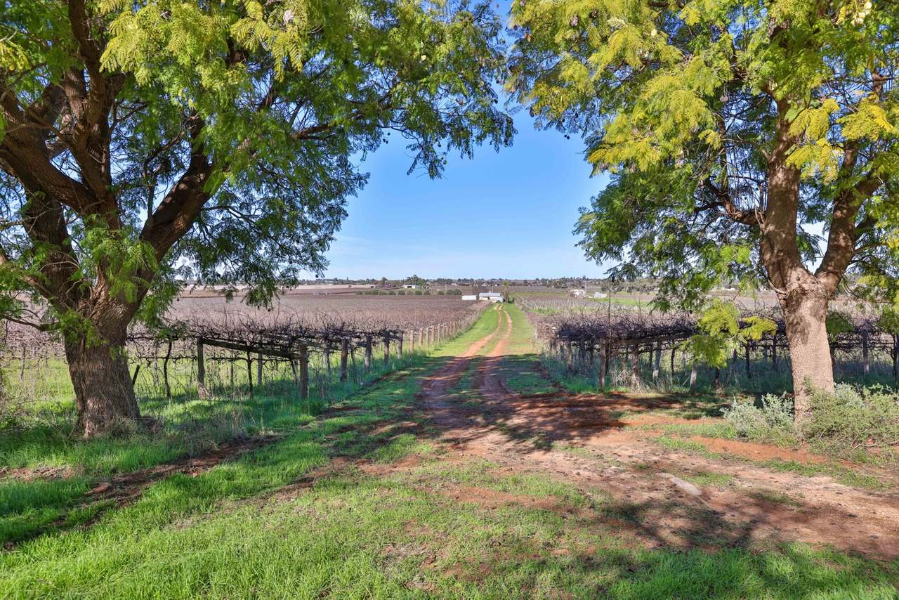 72 First Street , Yelta  For Sale by Farmbuy.com - image 3