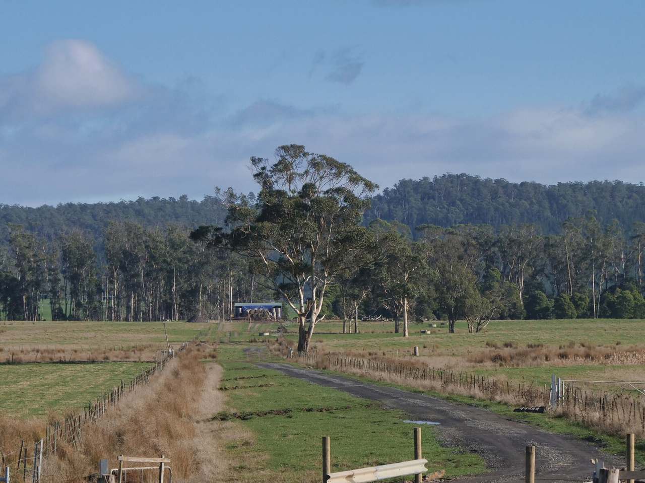 Avenue Road, Parkham For Sale by Farmbuy.com - image 9