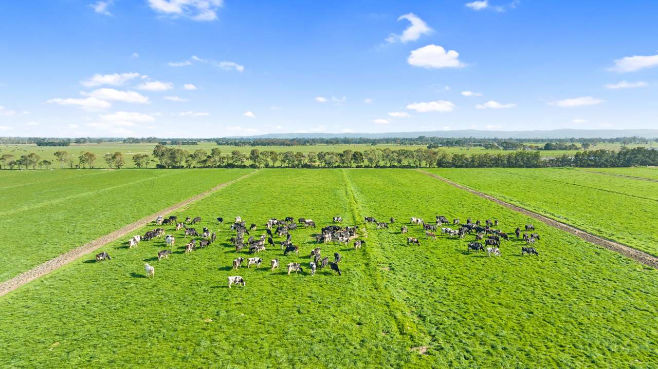 745 Lower Cairnbrook Road, Glengarry Sold by Farmbuy.com - image 8