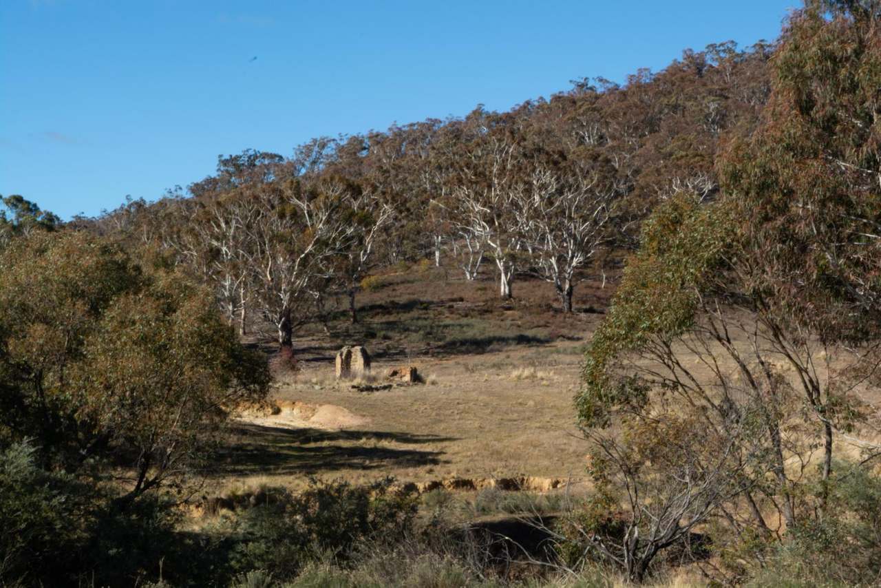 Lots 37 & 40, Warrens Corner Road, Numeralla Sold by Farmbuy.com - image 10