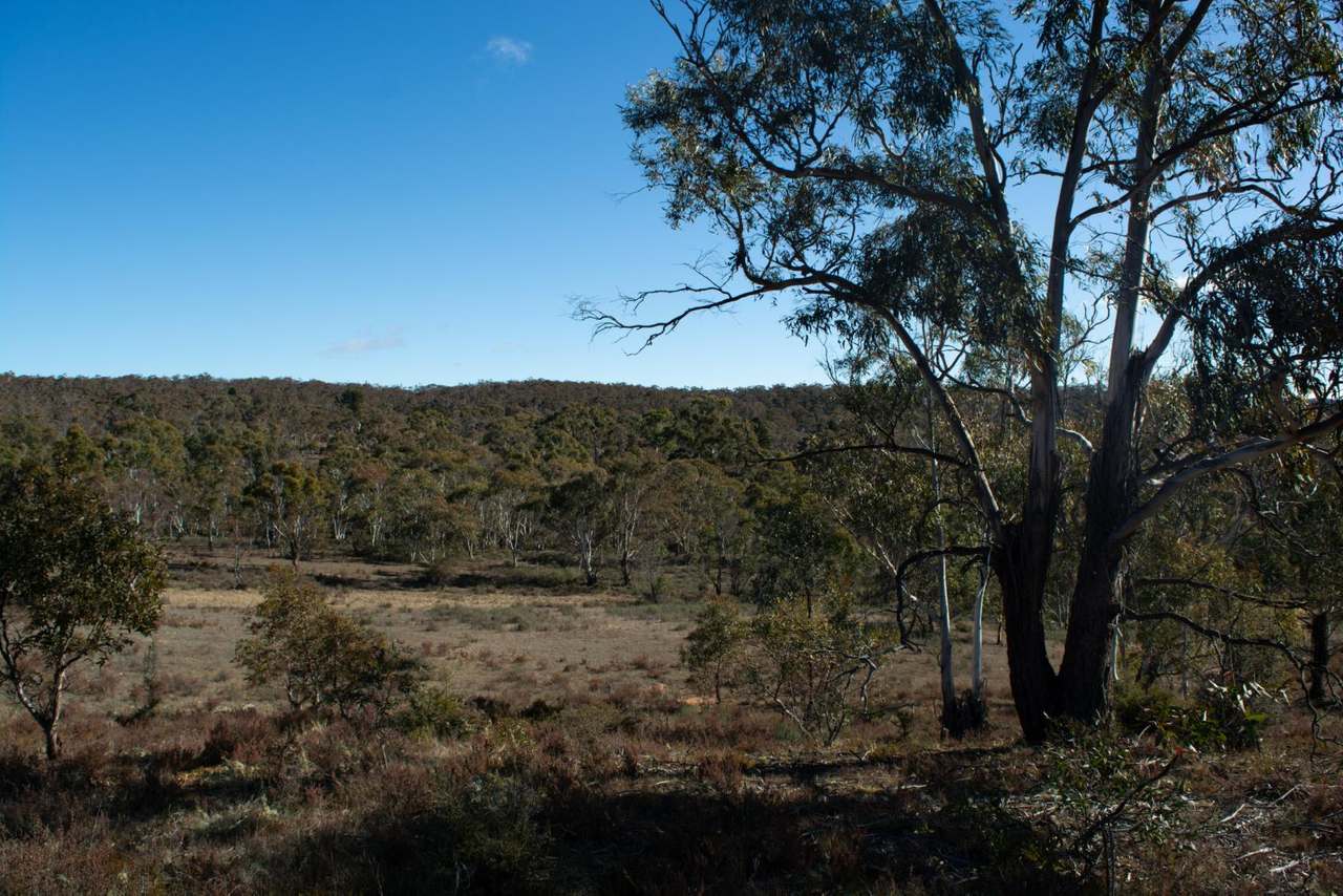 Lots 37 & 40, Warrens Corner Road, Numeralla Sold by Farmbuy.com - image 7