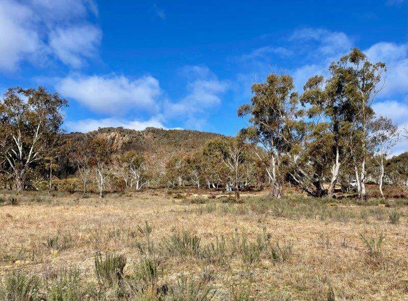 Lots 37 & 40, Warrens Corner Road, Numeralla Sold by Farmbuy.com - image 2
