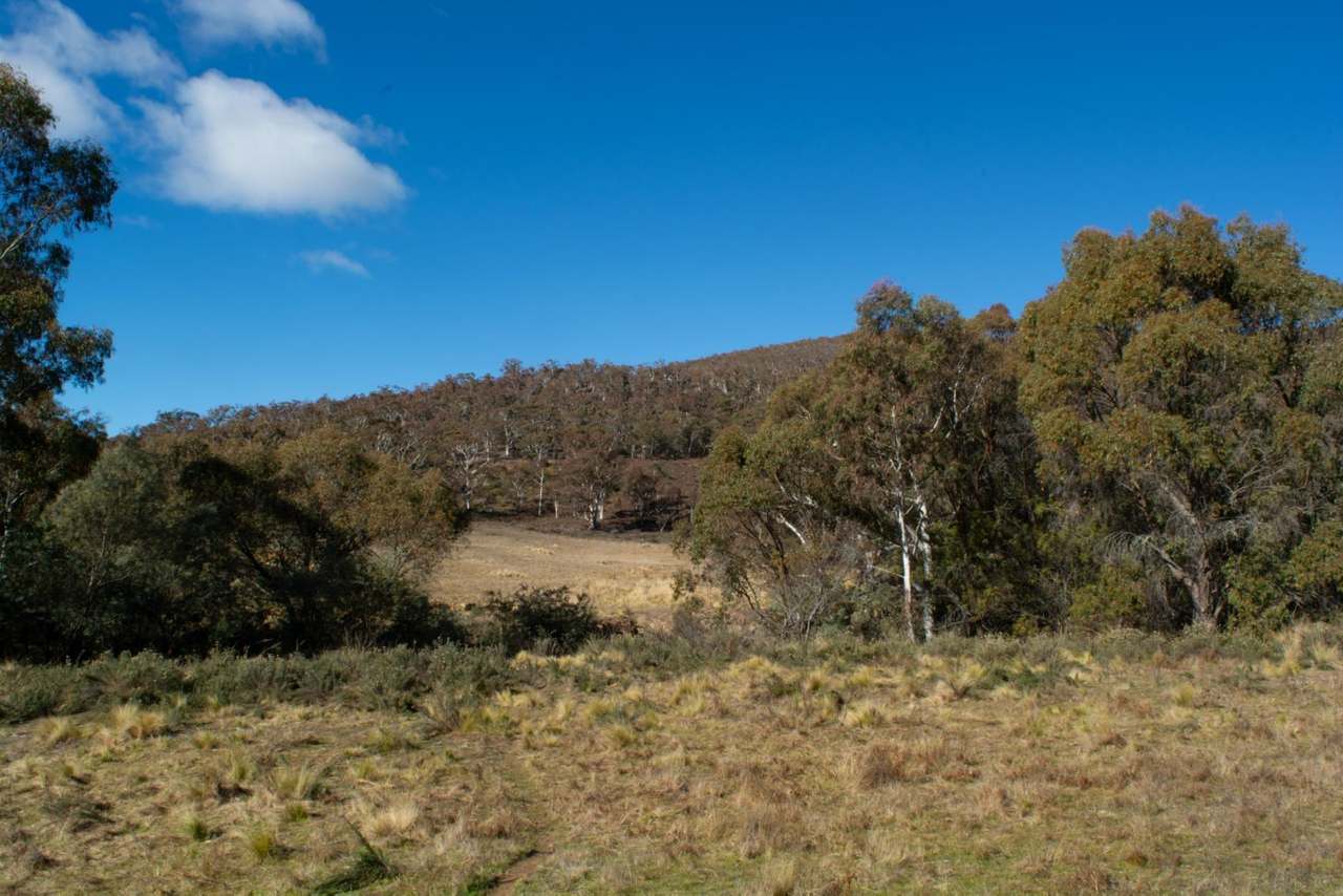 Lots 37 & 40, Warrens Corner Road, Numeralla Sold by Farmbuy.com - image 9