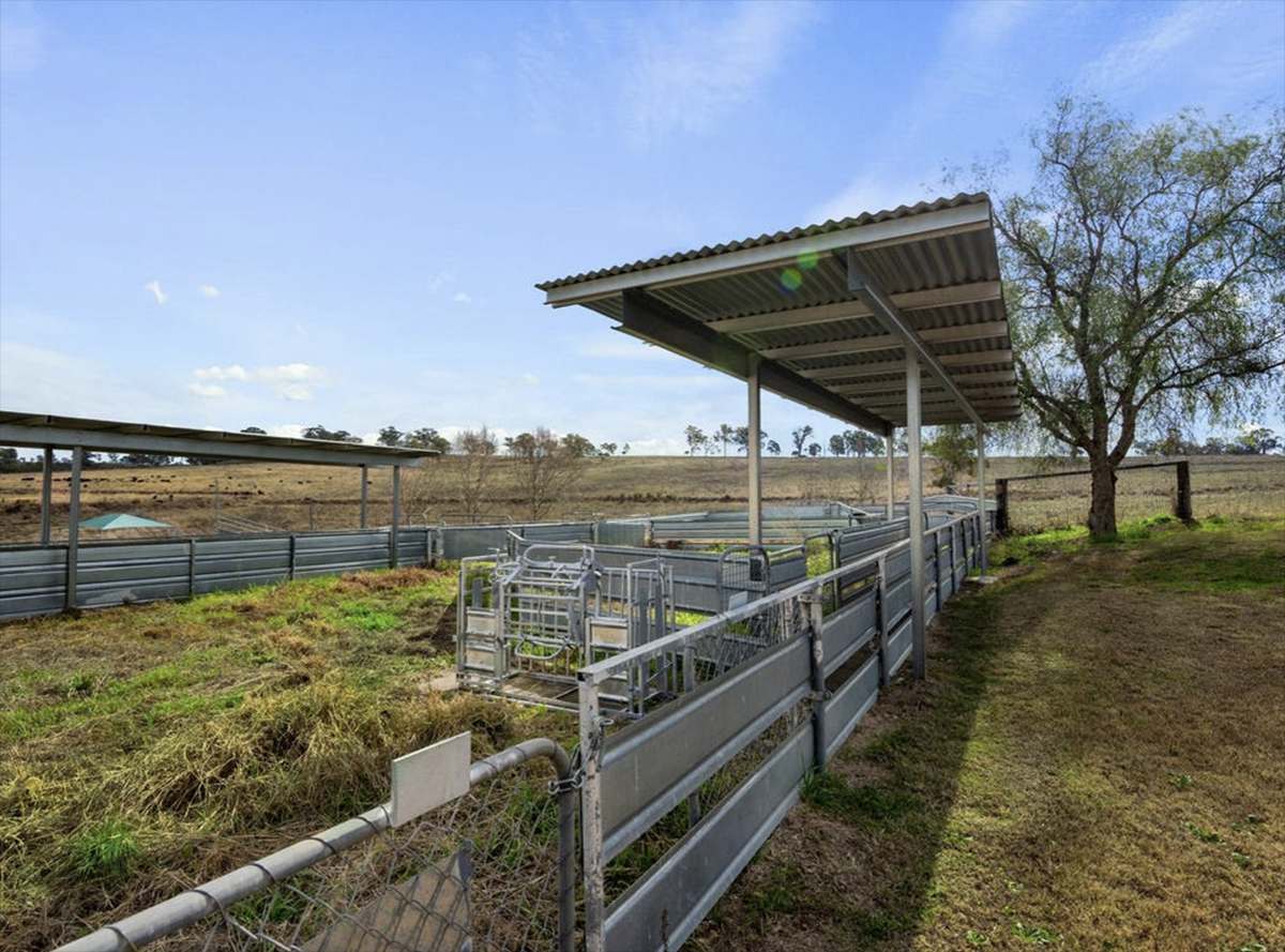 121 Glengallan Road, Deuchar For Sale by Farmbuy.com - image 8
