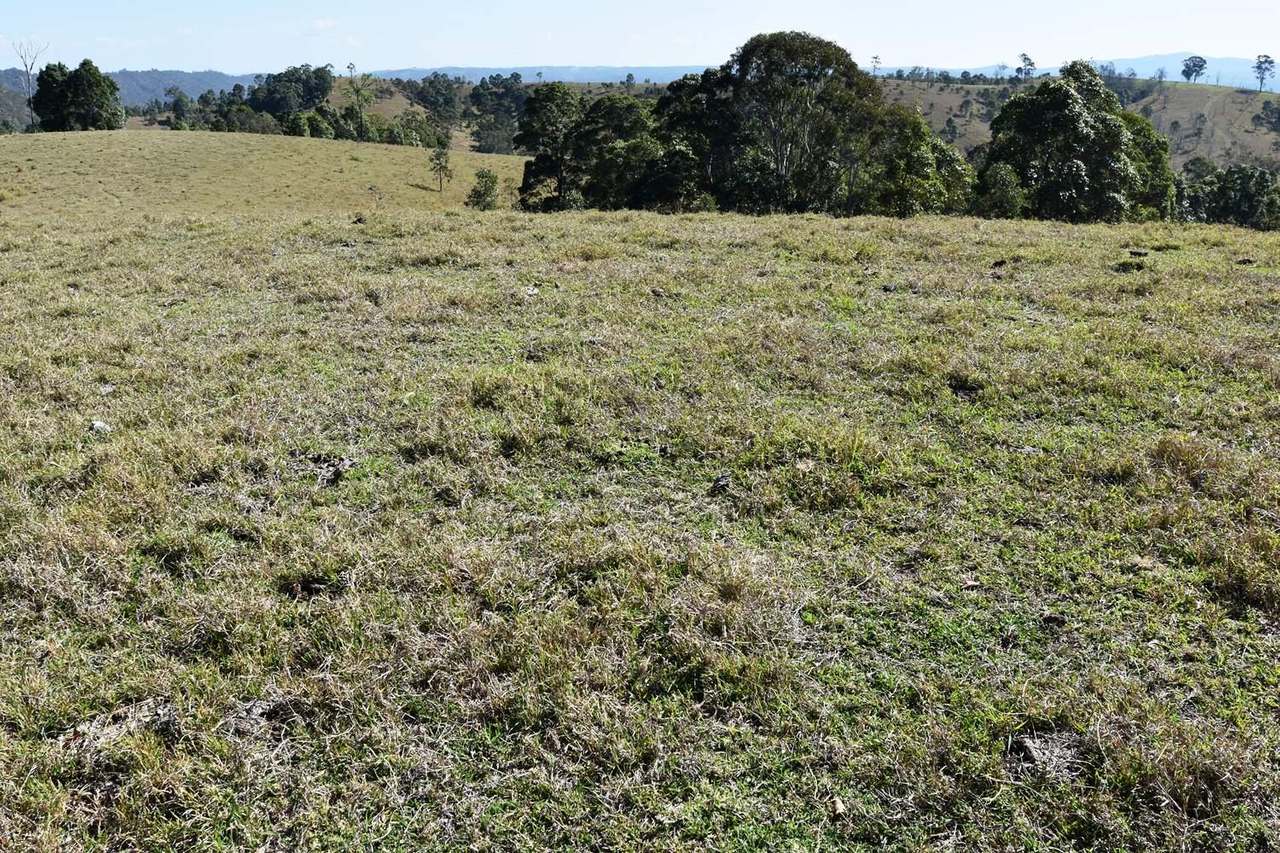 Louisavale Road, Monsildale via Kilcoy Sold by Farmbuy.com - image 8