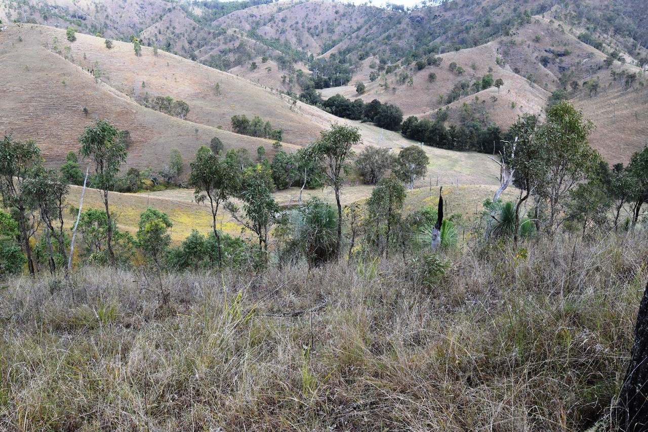 Louisavale Road, Monsildale via Kilcoy Sold by Farmbuy.com - image 14