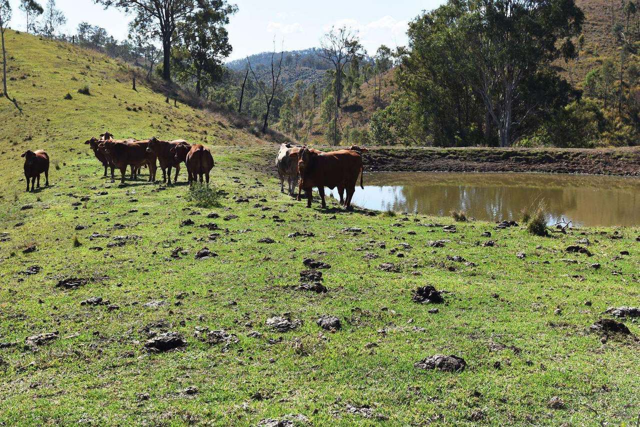 Louisavale Road, Monsildale via Kilcoy Sold by Farmbuy.com - image 23