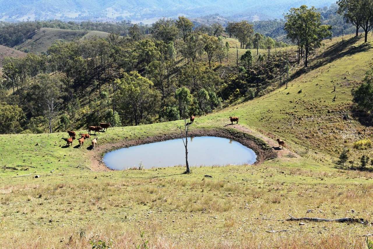 Louisavale Road, Monsildale via Kilcoy Sold by Farmbuy.com - image 11