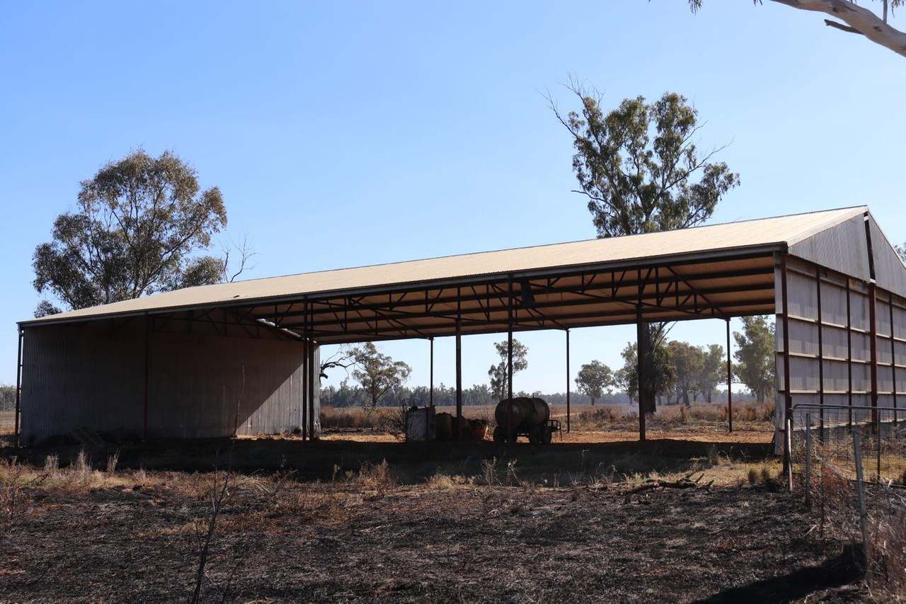 Gunning Road, Forbes For Sale by Farmbuy.com - image 16