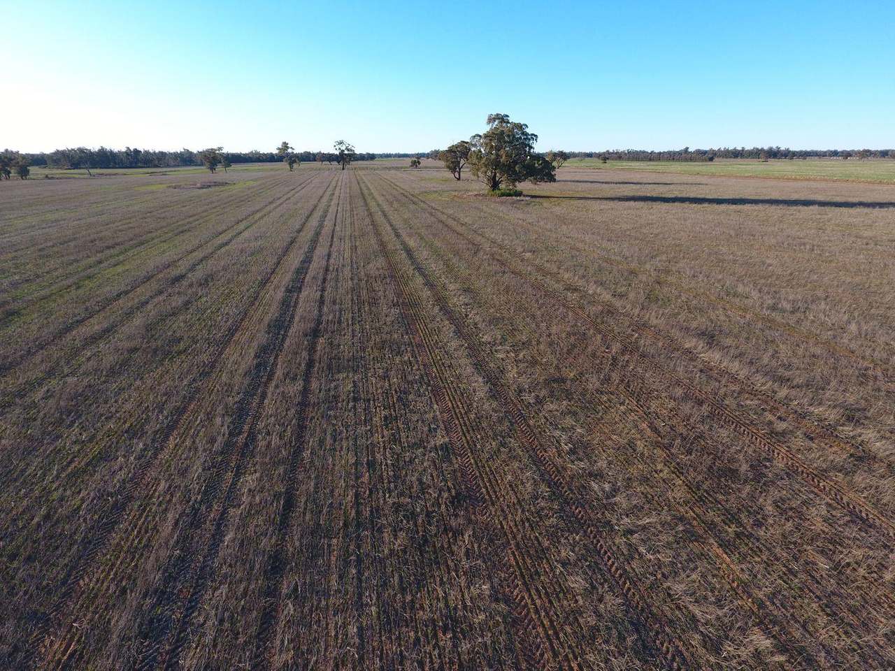 Gunning Road, Forbes For Sale by Farmbuy.com - image 8