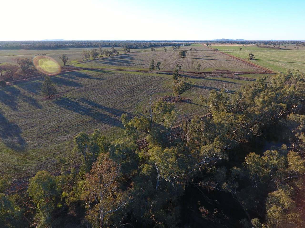Gunning Road, Forbes For Sale by Farmbuy.com - image 27