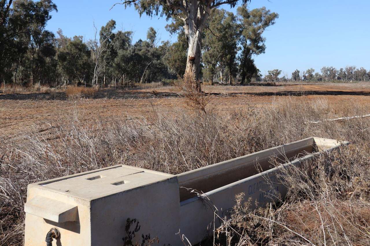 Gunning Road, Forbes For Sale by Farmbuy.com - image 19