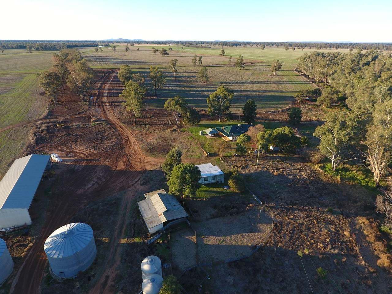 Gunning Road, Forbes For Sale by Farmbuy.com - image 15