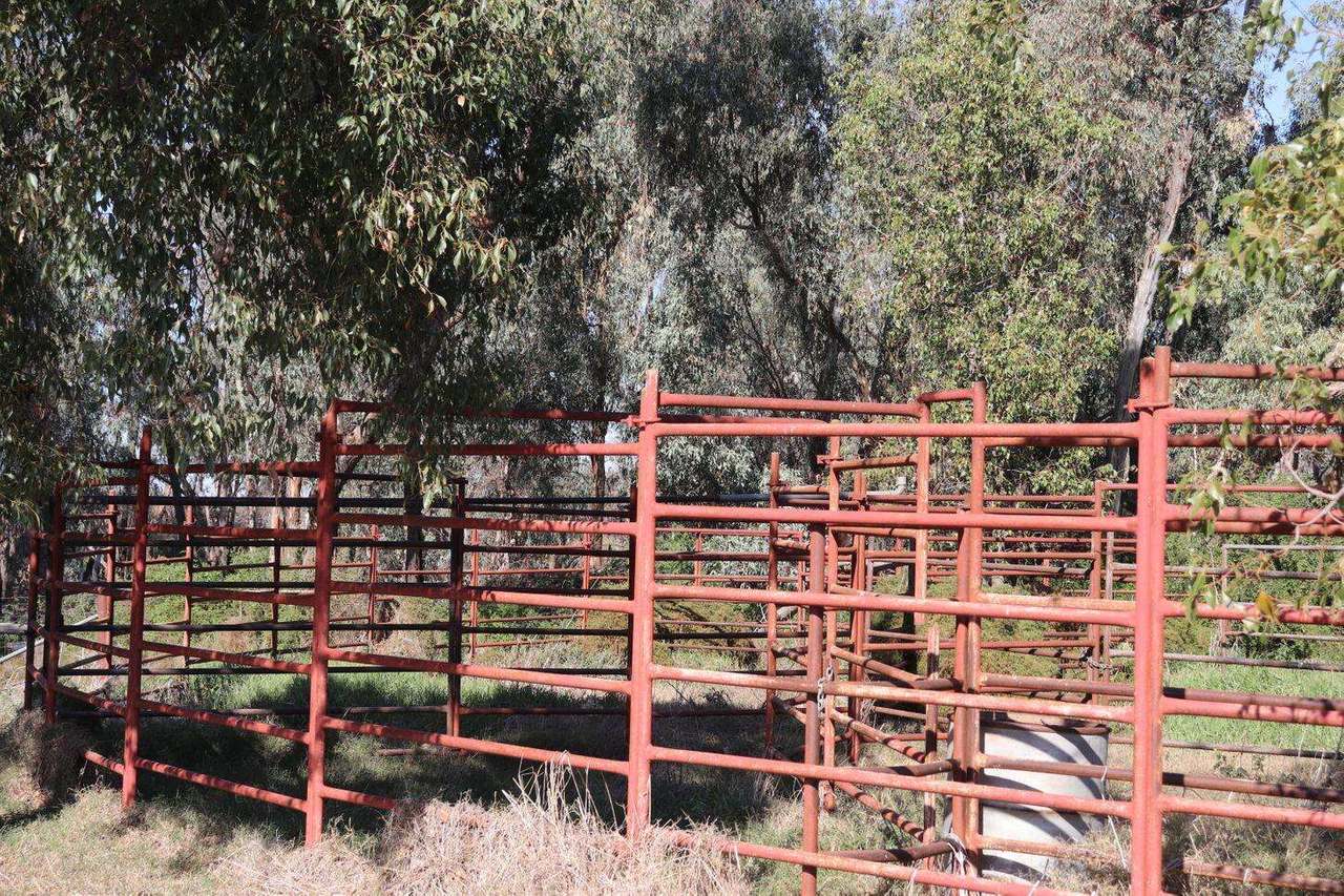 Gunning Road, Forbes For Sale by Farmbuy.com - image 12