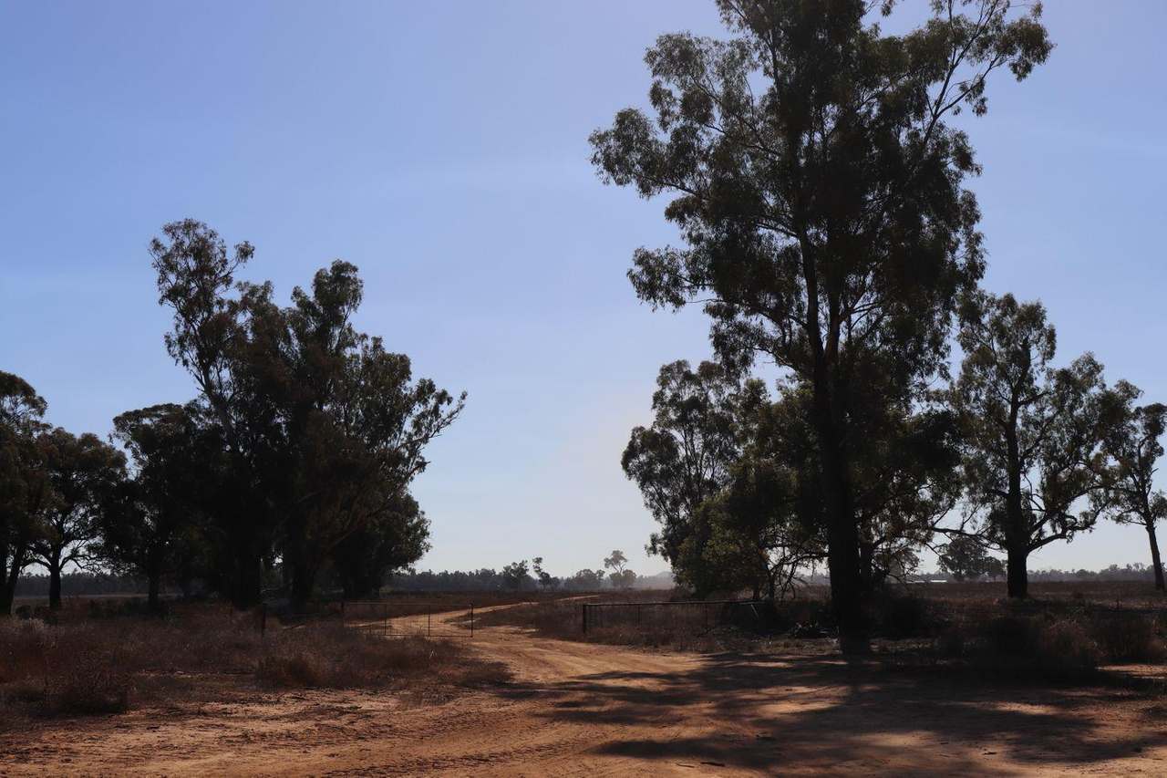 Gunning Road, Forbes For Sale by Farmbuy.com - image 4