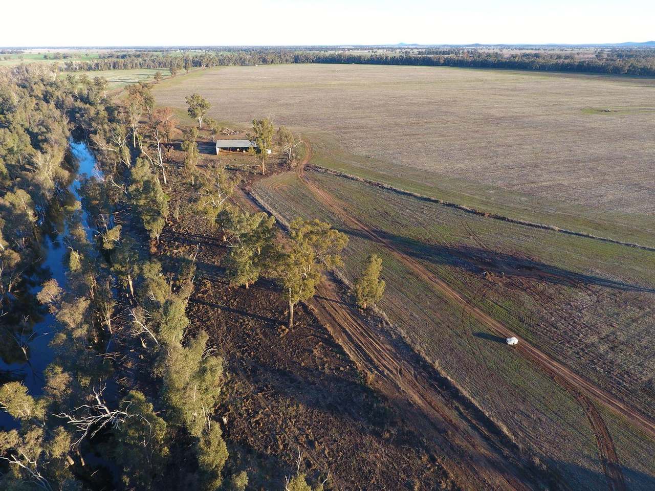 Gunning Road, Forbes For Sale by Farmbuy.com - image 34