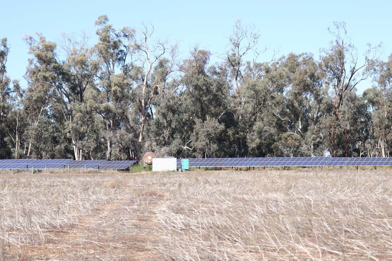 Gunning Road, Forbes For Sale by Farmbuy.com - image 22