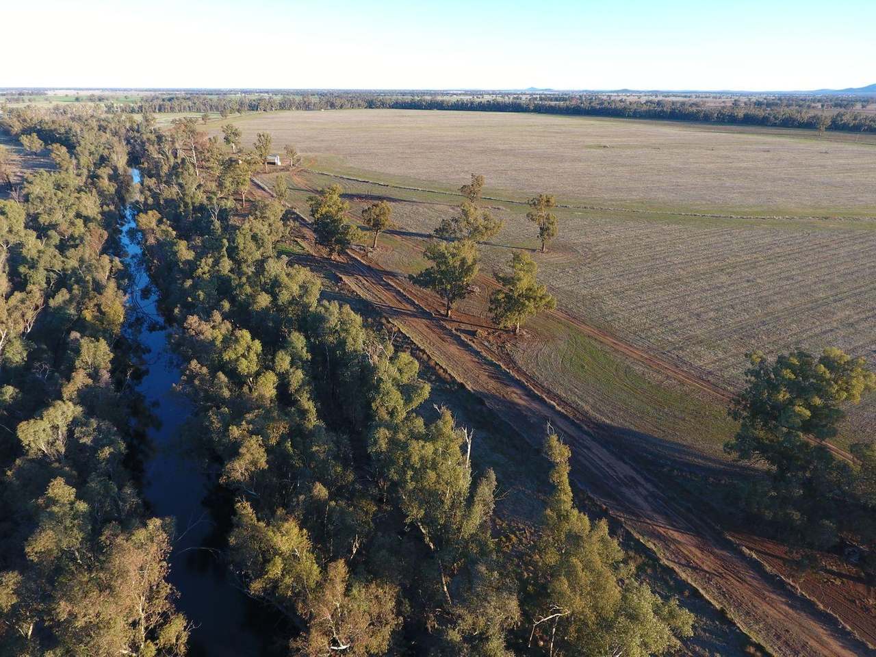 Gunning Road, Forbes For Sale by Farmbuy.com - image 17