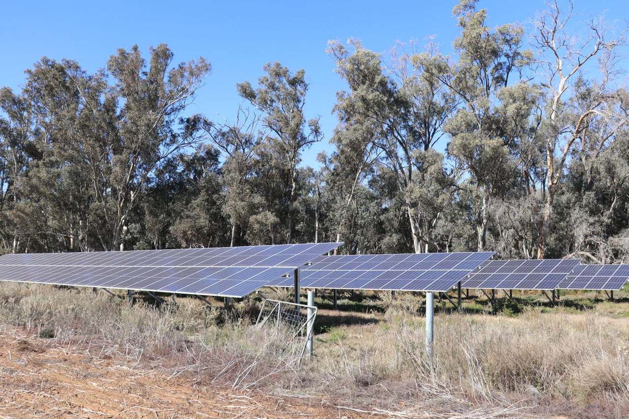 Gunning Road, Forbes For Sale by Farmbuy.com - image 28