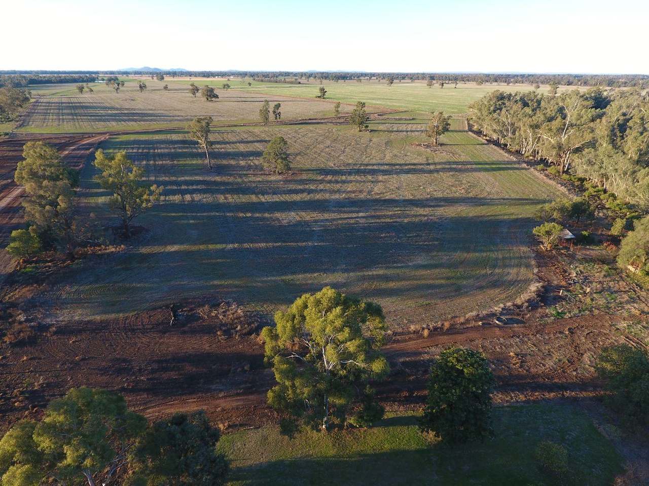 Gunning Road, Forbes For Sale by Farmbuy.com - image 7