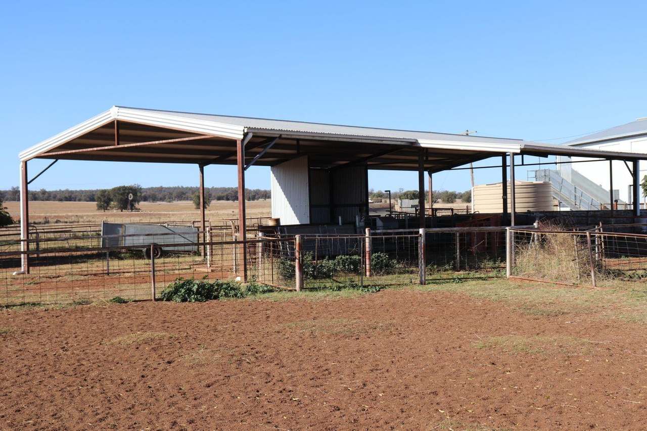 Crowley Road, Trundle For Sale by Farmbuy.com - image 5