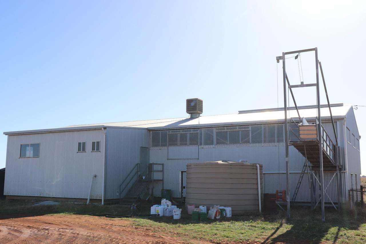 Crowley Road, Trundle For Sale by Farmbuy.com - image 26