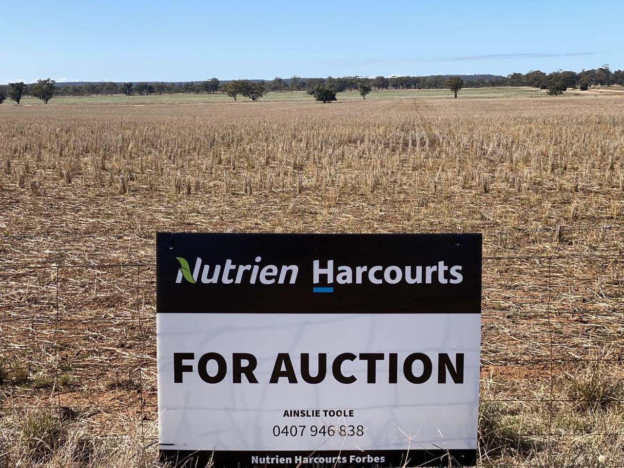 Crowley Road, Trundle For Sale by Farmbuy.com - image 60