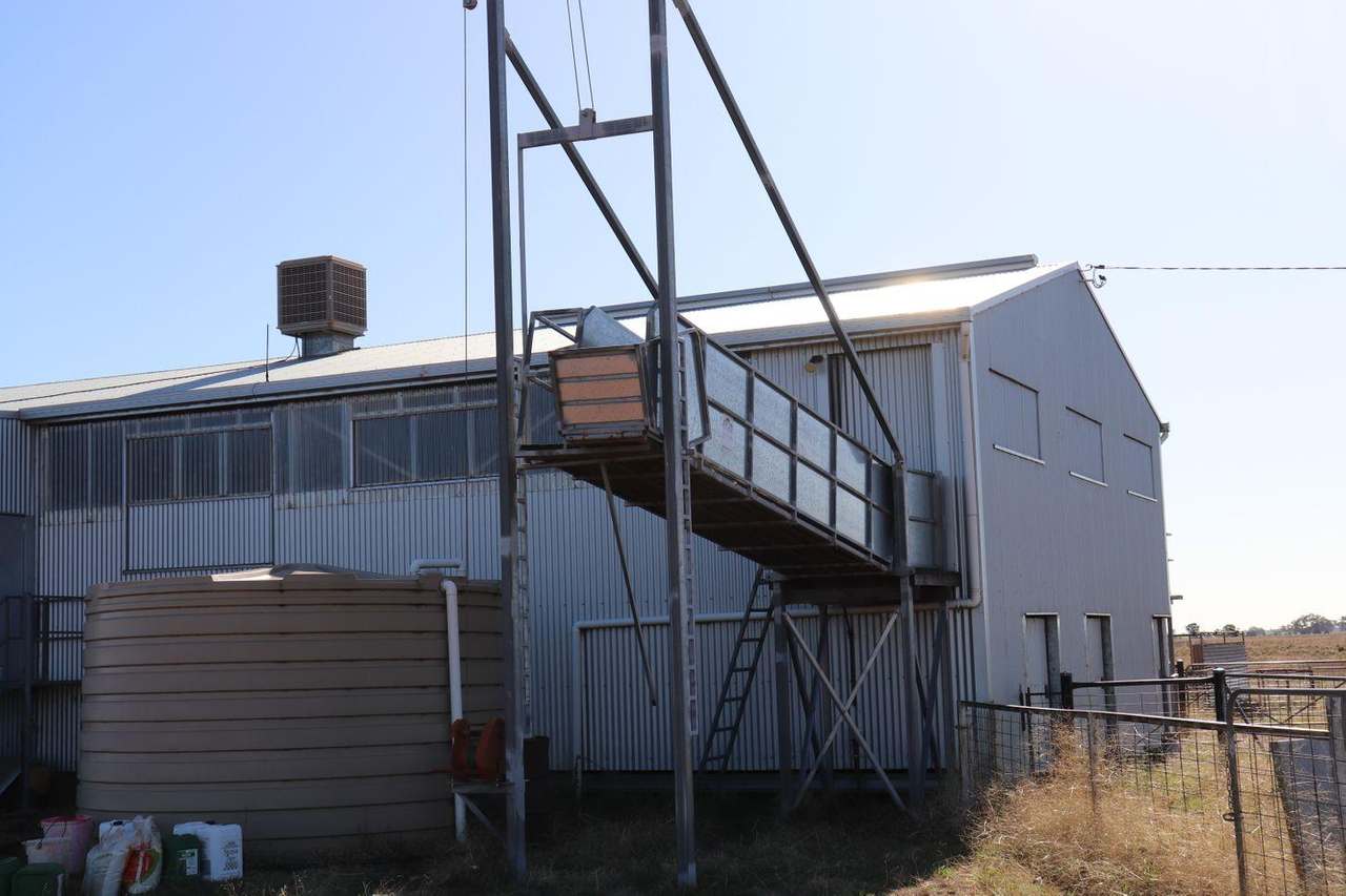 Crowley Road, Trundle For Sale by Farmbuy.com - image 30