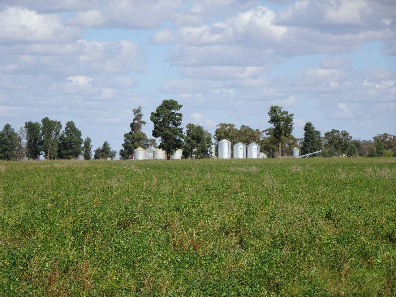 Crowley Road, Trundle For Sale by Farmbuy.com - image 41