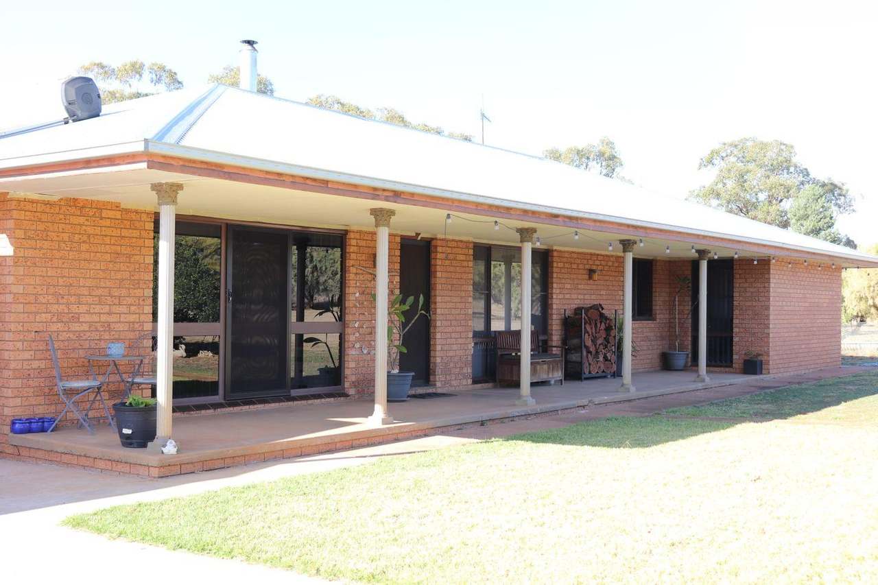 Crowley Road, Trundle For Sale by Farmbuy.com - image 19